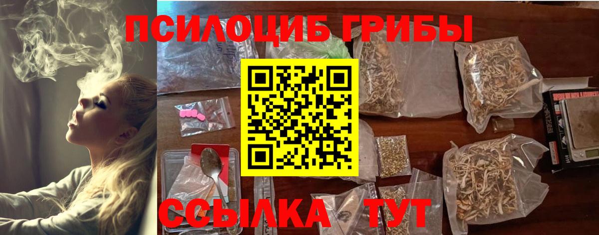 Псилоцибиновые грибы GOLDEN TEACHER Ессентуки