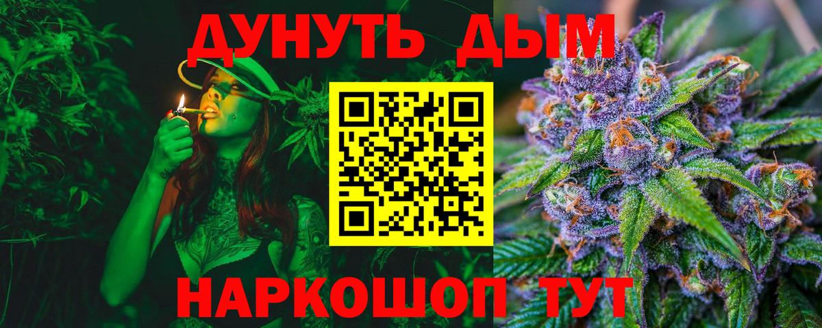 Канабис планчик Ессентуки